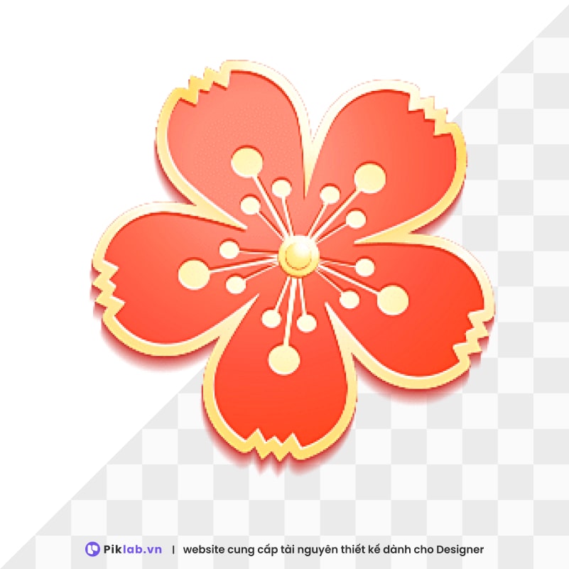 Design resource red flower with gold border happy new year tet holiday isolated on transparent hoa đỏ PNG tết